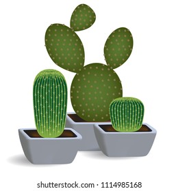 3d set of three cacti in square pots. Indoor plants of succulents opuntia and echinopsis on a white background.