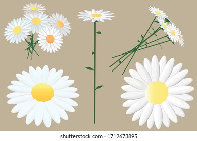 3D shapes in the form of chamomiles from different sides.