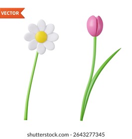 3d Spring flowers icon isolated on white background. Chamomile, tulip. Easter decorations. 3d rendering. Vector illustration.