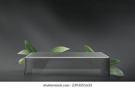 3D square glass platform with green plant on grey wall background. Vector realistic illustration of transparent plastic podium for exhibition, organic product presentation, advertising stage mockup