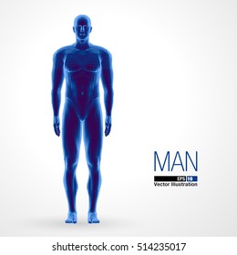 3d standing man, full length, blue colored. Polygonal vector illustration . Front view