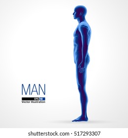 3d standing man, full length, blue colored. Polygonal vector illustration . Side view