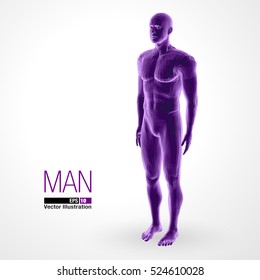 3d standing man, full length, purple colored. Polygonal vector illustration