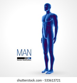 3d standing man, full length, blue colored. Polygonal vector illustration