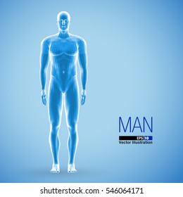 3d Standing Man, Full Length, Blue Colored. Front View. Polygonal Vector Illustration