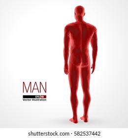3d standing man, full length, red colored. Polygonal vector illustration . Back view