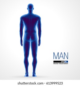 3d standing man, full length, blue colored. Polygonal vector illustration . Back view