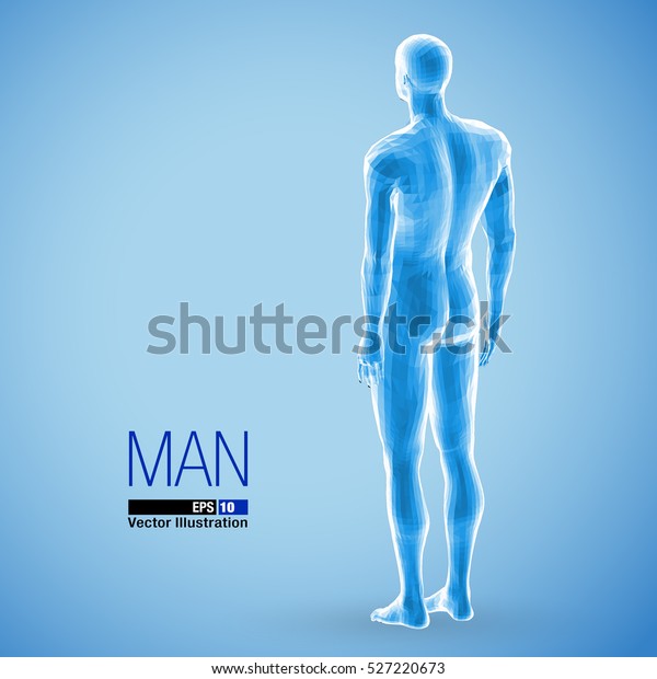 3dの立ち姿の男性 全身 青の色 背面図 多角形のベクターイラスト のベクター画像素材 ロイヤリティフリー