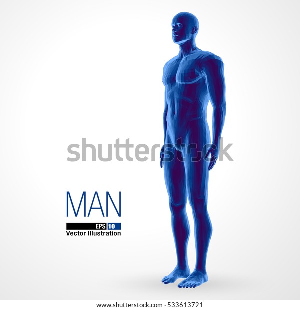 3dの立ち姿の男性 全身 青の色 多角形のベクターイラスト のベクター画像素材 ロイヤリティフリー