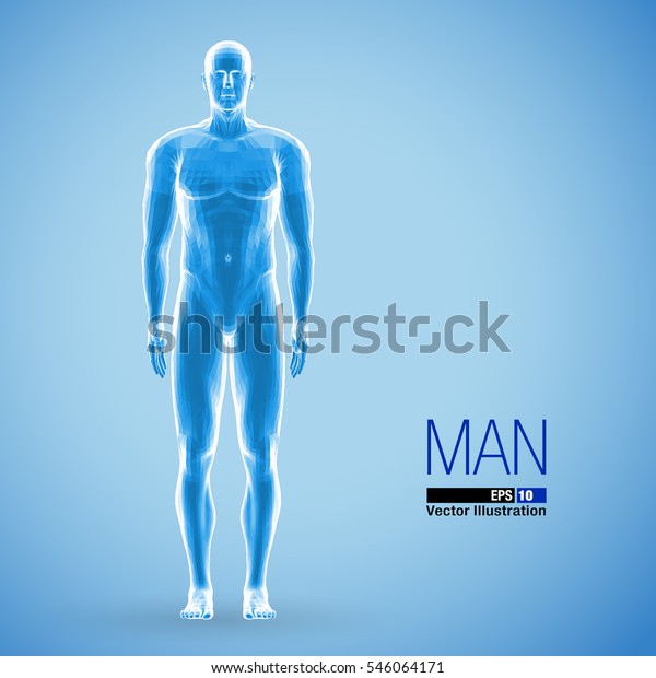 3dの立ち姿の男性 全身 青の色 正面図 多角形のベクターイラスト のベクター画像素材 ロイヤリティフリー