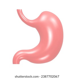 3d stomach organ on white background. Realistic vector Illustration.