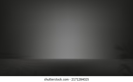 3d Studio room Grey Cement with palm leaf shadow on wall background,Vector illustration Gray floor Concrete with light and shadow of leaves branches.Banner template interior loft style