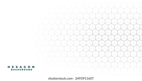3d style modern hexagon stipe line white background design vector