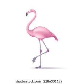 3d stylized flamingos standing and walking isolated for summer and tropical wildlife animal. Vector illustration.