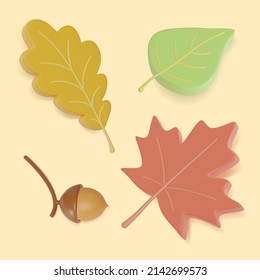 3d Stylized Leaves and Acorn Set Cartoon Style Symbol of Autumn Season. Vector illustration of Oak Leaf