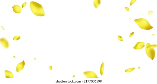 3d sunflower petals falling design vector illustration