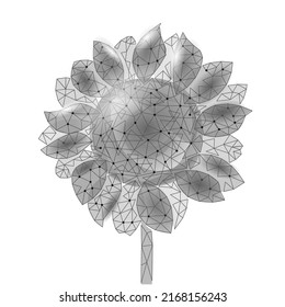 3D sunflower seed food oil concept. World food Day hunger awareness. Help charity help global international refugees vector illustration