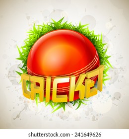 3D text Cricket with red ball and green grass on stylish grey background.