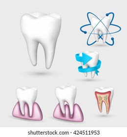 3d tooth collection. Set Tooth. Vector illustration.