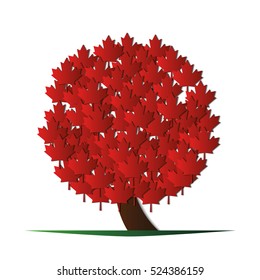 3D Tree. Maple with red leaves. A tree growing to the top. Modern housing design. White background