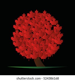 3D Tree. Maple with red leaves. A tree growing to the top. Modern housing design. Black background