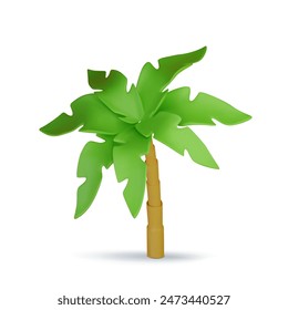 3d Tropical palm cartoon illustration. Tropic jungle realistic plant isolated on white background. Vector illustration