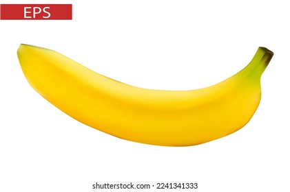 3d vector Banana in realistic style. Yellow banana isolated on white background for print. Tasty realism banana fruit. Vector illustration EPS 8. 