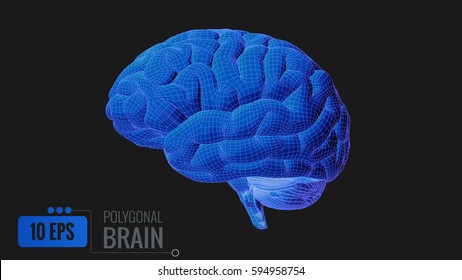 3D Vector Blue Wireframe Brain Side View Illustration On Dark Background