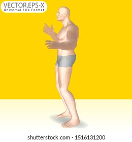 3d Vector character realistic of stylish bodybuilder right pose. stylish bodybuilder presentation mockup. Gestures character vector design.