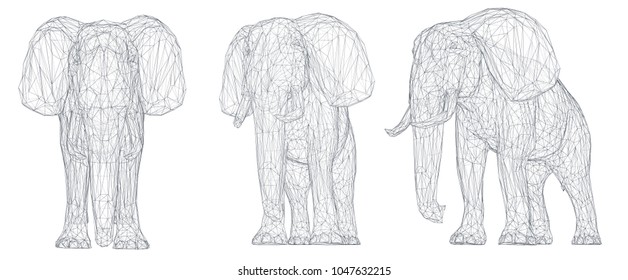 3d vector elephant. Set for design
