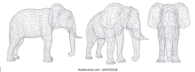 3d vector elephant. Set for design