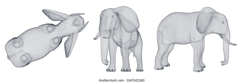 3d vector elephant. Set for design