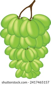 3D vector of Grapes , Tiny, succulent orbs bursting with sweet and refreshing grape goodness