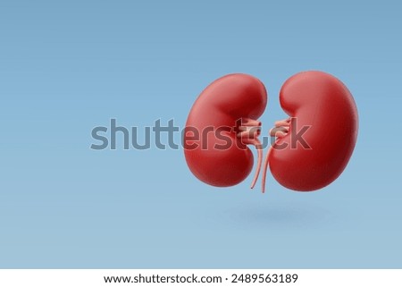 3d Vector Human kidneys with veins and arteries, Urinary system, Internal organs concept. Eps 10 Vector.