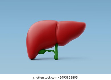 3d Vector Human liver, Liver anatomy structure, Internal organs concept. Eps 10 Vector.