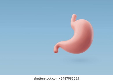 3d Vector Human stomach, Gastrointestinal tract, Internal organs concept. Eps 10 Vector.