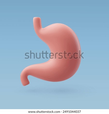 3d Vector Human stomach, Gastrointestinal tract, Internal organs concept. Eps 10 Vector.