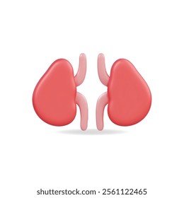 3d vector icon of a kidney, featuring a vibrant red color, symbolizing health and medical themes