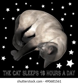 3D vector illustration of a blue Siamese cat in low-polygonal style on a black background with stars and the inscription "The cat sleeps 16 hours a day"