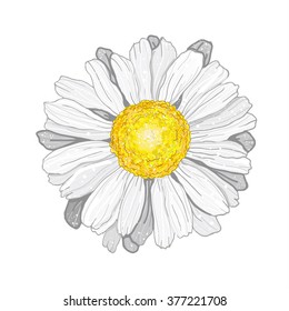 3D vector Illustration chamomile.Beautiful white flower isolated.For greeting cards and invitations of wedding,birthday,mother's day,holiday.Vector plant on background.Cloth design,wallpaper,wrapping.