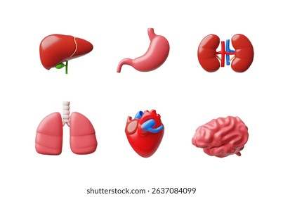 3D vector illustration of human internal organs, heart, brain, lungs, liver, stomach and kidneys. Medical anatomy concept suitable for teaching and research materials. Isolated icons.
