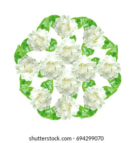 3D Vector illustration of jasmine flowers with leaves in circle shape / formation.  Jasmine is the symbol of Mother's day in Thailand.