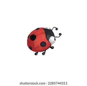 3D vector illustration of a ladybug isolated on white background