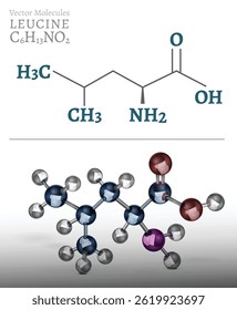 3D vector illustration of leucine molecule structure. Visual representation of chemical bonds, atoms, and molecular composition. Ideal for scientific, educational, biochemistry-related projects