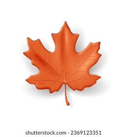 3d vector illustration of orange autumn maple leaf, detailed render realistic graphics