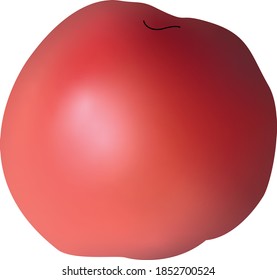 3d Ilustración vectorial del gran tomate fresco rojo aislado sobre fondo blanco.