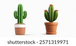 3d Vector illustration of two potted cacti with vibrant green stems and flowers in terracotta pots. Perfect for themes of nature, desert plants, home decor, or botanical design projects.