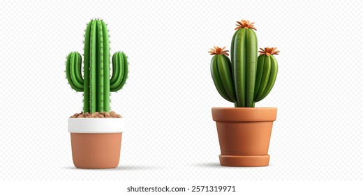 3d Vector illustration of two potted cacti with vibrant green stems and flowers in terracotta pots. Perfect for themes of nature, desert plants, home decor, or botanical design projects.