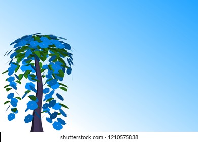 3D vector illustrations, Summer delicate floral motifs, festive backgrounds, pastel and soft flower bouquets.
