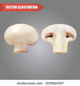 3d vector mushrooms isolated on a background.